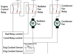 Dual Fan Wiring Diagram Wiring Diagram for Fan Relay Wiring Diagram Official Dual Fan Wiring Diagram Wiring Diagram for Fan Relay Wiring Diagram Official