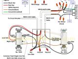 Dual Light Switch Wiring Diagram Wiring A 277 Volt Light Database Wiring Diagram