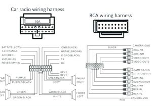 Dual Radio Wiring Diagram Wiring Diagram for Stereo Amplifier Get Free Image About Wiring