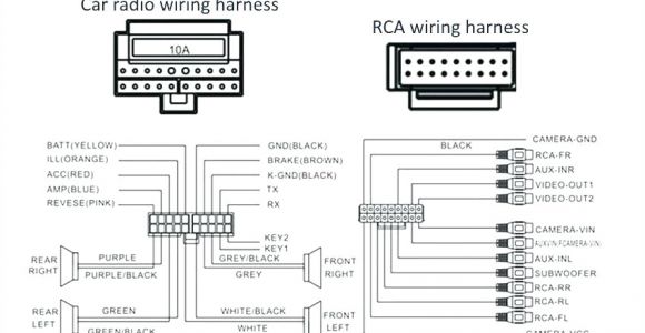 Dual Radio Wiring Diagram Wiring Diagram for Stereo Amplifier Get Free Image About Wiring