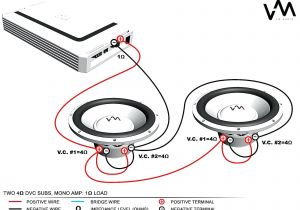 Dual Voice Coil Wiring Diagram Omega Subwoofer Wiring Diagram Wiring Diagram Autovehicle