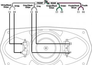 Dual Voice Coil Wiring Diagram Retro sound Wiring Diagram Wiring Diagrams Bib