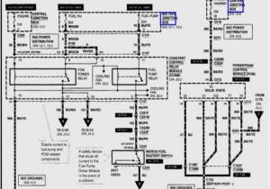 Dual Xdm270 Wiring Diagram F250 Stereo Wiring Diagram Wiring Diagrams