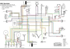 Dyna 2000 Ignition Wiring Diagram Harley 1997 Harley Sportster Wiring Diagram Wiring Diagram today Dyna 2000 Ignition Wiring Diagram Harley 1997 Harley Sportster Wiring Diagram Wiring Diagram today