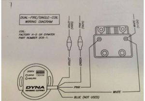 Dyna Single Fire Ignition Wiring Diagram Yamaha Qt50 Wiring Diagram Wiring Diagram Autovehicle