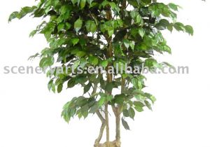 Dynacharge Dy 1420 Wiring Diagram Oneida S Blog 201209 Dynacharge Dy 1420 Wiring Diagram Oneida S Blog 201209