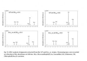 Dynamco Immobiliser Wiring Diagram Axxess Gmos 04 Wiring Diagram Dynamco Immobiliser Wiring Diagram Axxess Gmos 04 Wiring Diagram