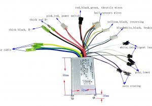 E Bike Speed Controller Wiring Diagram Find Out Here E Bike Controller Wiring Diagram Download E Bike Speed Controller Wiring Diagram Find Out Here E Bike Controller Wiring Diagram Download