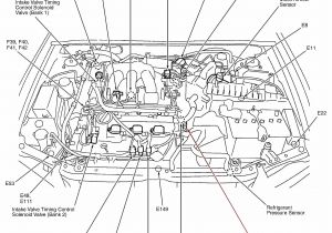 E21 Wiring Diagram Mazda 3 Throttle Body Wiring Diagram Wiring Diagram toolbox