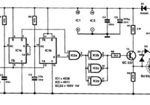 E21 Wiring Diagram Newtronic Ignition Wiring Diagram Diagram Diagram Wire Link