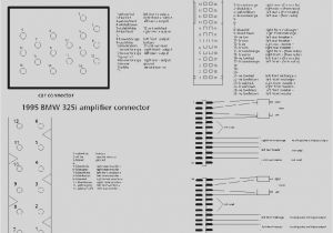 E39 Dsp Amp Wiring Diagram Bmw Radio Wiring Data Wiring Diagram Preview