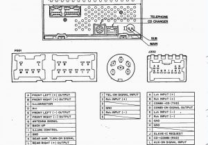 E46 Trunk Wiring Diagram Bmw E39 Ews Wiring Diagram Wiring Diagram Database E46 Trunk Wiring Diagram Bmw E39 Ews Wiring Diagram Wiring Diagram Database