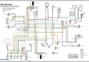 E46 Trunk Wiring Diagram Bmw E46 Tail Light Wiring Wiring Diagram Used E46 Trunk Wiring Diagram Bmw E46 Tail Light Wiring Wiring Diagram Used