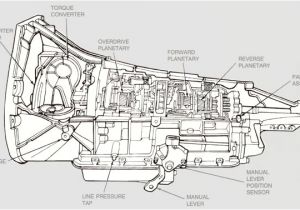 E4od Transmission Wiring Diagram E40d Diagram Home Wiring Diagram E4od Transmission Wiring Diagram E40d Diagram Home Wiring Diagram