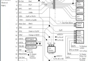 E4od Wiring Diagram E40d Wiring Harness Wiring Diagram Article Review