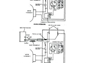 Ec Motor Wiring Diagram Champion Dish Machine Wiring Diagram Wiring Diagrams System