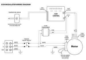 Ecm 2.3 Motor Wiring Diagram Ecm Motor Wiring Diagram Schematic Wiring Diagram