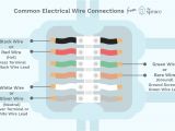 Edison Plug Wiring Diagram Color Coding Electrical Wires and Terminal Screws Edison Plug Wiring Diagram Color Coding Electrical Wires and Terminal Screws