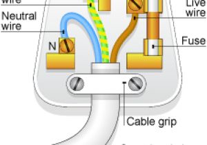 Edison Plug Wiring Diagram the Inside Of A Plug Campervantures Wiring A Plug Electrical