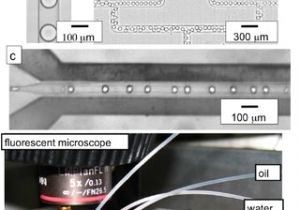 Edwards 270 Spo Wiring Diagram Pdf Microwave Dielectric Heating Of Drops In Microfluidic