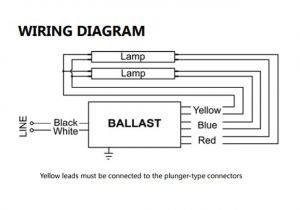 Eiko Led T8 Wiring Diagram Ho Ballast Wiring Diagram Pro Wiring Diagram