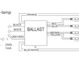 Eiko Led T8 Wiring Diagram Ho Ballast Wiring Diagram Pro Wiring Diagram