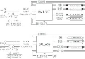 Eiko Led T8 Wiring Diagram Ho Ballast Wiring Diagram Pro Wiring Diagram