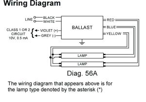Eiko Led T8 Wiring Diagram Ho Ballast Wiring Diagram Pro Wiring Diagram