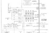 Ej500 Wiring Diagram Vl Commodore Wiring Diagram Wiring Library
