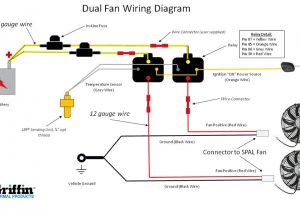 Electric Fan Wiring Diagram Dual Radiator Fan Wiring Diagram Wiring Diagram for You