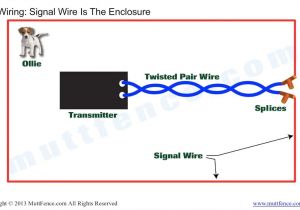 Electric Fence Wiring Diagram Invisible Fence Wiring Diagram Another Blog About Wiring Diagram
