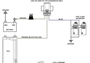 Electric Fuel Pump Wiring Diagram Bosch Pump Wiring Diagram Wiring Diagram Show