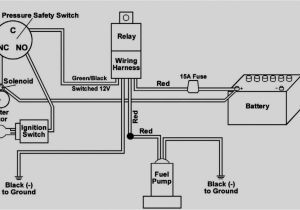 Electric Fuel Pump Wiring Diagram Fuel Safe Wiring Diagram Wiring Diagram Operations