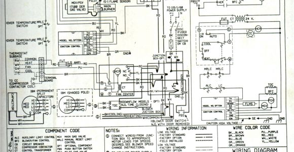 Electric Furnace Wiring Diagram Ruud Furnace Wiring Diagram Wiring Diagram Expert