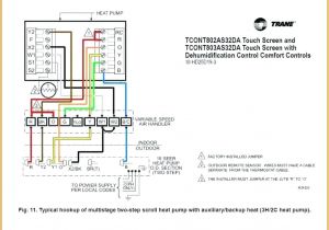 Electric Hot Water Heater Wiring Diagram Electric Water Heater thermostat Wiring Hot Diagram T O D Style