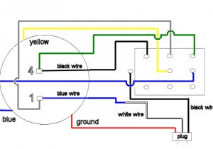Electric Motor Reversing Switch Wiring Diagram Marathon Motor 3 Phase Wiring Diagram Wiring Schematic