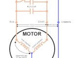 Electric Motor Wiring Diagram 110 to 220 Dual Voltage Single Phase Motor Wiring Diagram Wiring Diagram Blog