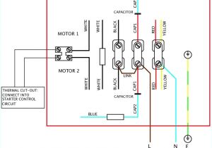 Electric Motor Wiring Diagram Single Phase 240v Induction Motor Wiring Wiring Diagram View