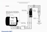 Electric Motor Wiring Diagram Wiring Diagram Induction Motor Single Phase Free Download Wiring