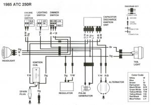 Electric Tarp Switch Wiring Diagram tokheim Box Wiring Diagram Key Wiring Diagrams Structure