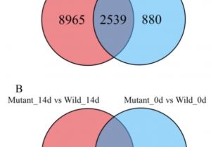 Electric Wire Diagram Physiology Diagram New Ijms Free Full Text Electrical Wiring Electric Wire Diagram Physiology Diagram New Ijms Free Full Text Electrical Wiring