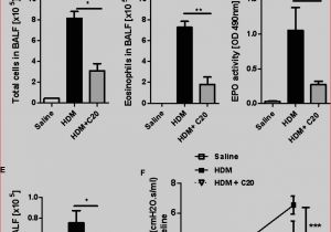 Electrical Circuit Diagram House Wiring Wiring Household Schematics Wiring Diagram Database