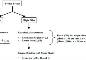 Electrical Light Switch Wiring Diagram 54 Unique Wiring Diagram for Light Switch Pics Wiring Diagram Electrical Light Switch Wiring Diagram 54 Unique Wiring Diagram for Light Switch Pics Wiring Diagram