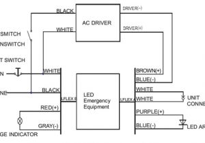 Emergency Light Test Switch Wiring Diagram Hm 1198 Wiring Diagram for Led Downlights Schematic Wiring Emergency Light Test Switch Wiring Diagram Hm 1198 Wiring Diagram for Led Downlights Schematic Wiring