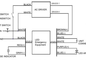 Emergency Light Test Switch Wiring Diagram Hm 1198 Wiring Diagram for Led Downlights Schematic Wiring