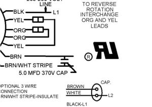 Emerson Condenser Fan Motor Wiring Diagram 3 Wire and 4 Wire Condensing Fan Motor Connection Hvac School