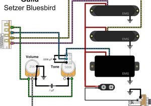 Emg Active Pickups Wiring Diagram Emg Emg Pj Active Bass Pickup Set Black Wiring Diagram