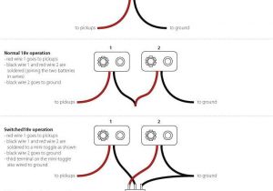 Emg Hz Passive Wiring Diagram Emg 89 Wiring Diagram Wiring Diagram Article Review