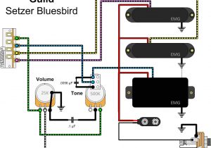 Emg P Bass Pickup Wiring Diagram Emg Emg Pj Active Bass Pickup Set Black Wiring Diagram