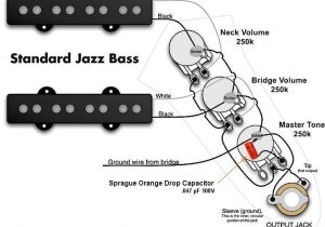 Emg P Bass Pickup Wiring Diagram Emg Pickups Wiring Diagram